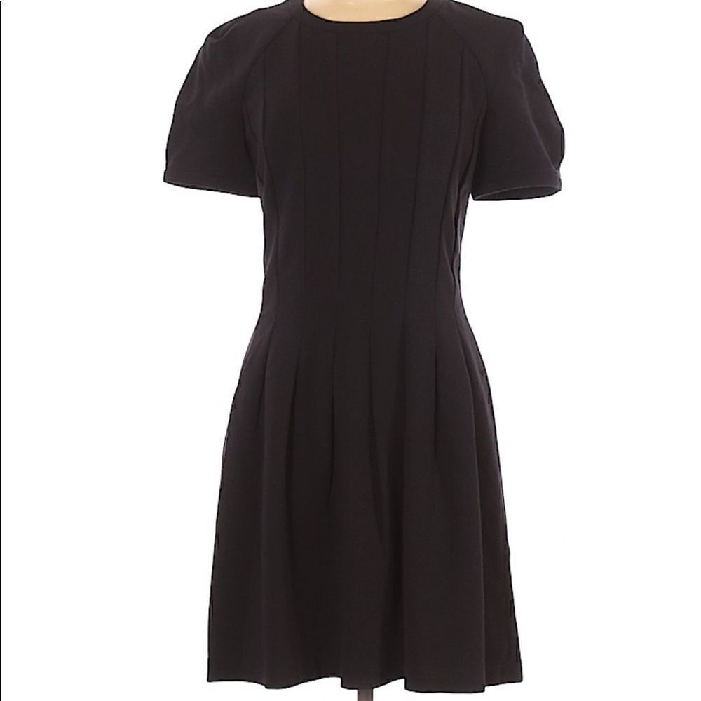 W118 Walter Baker Pleated Caroline Dress Black